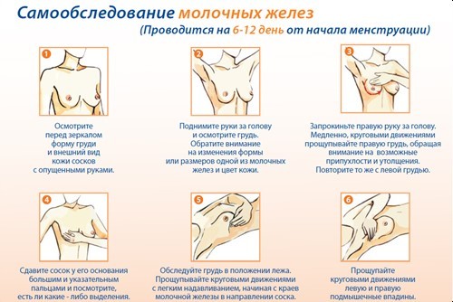 Как забеременеть быстро